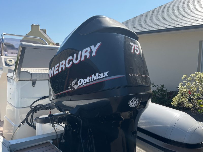 Mercury 75CV