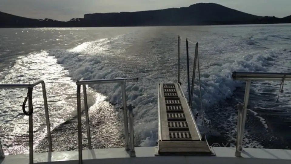 Arno Leopard 70 Sport