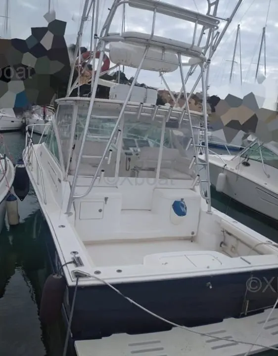 Cabo Yachts 32 Express