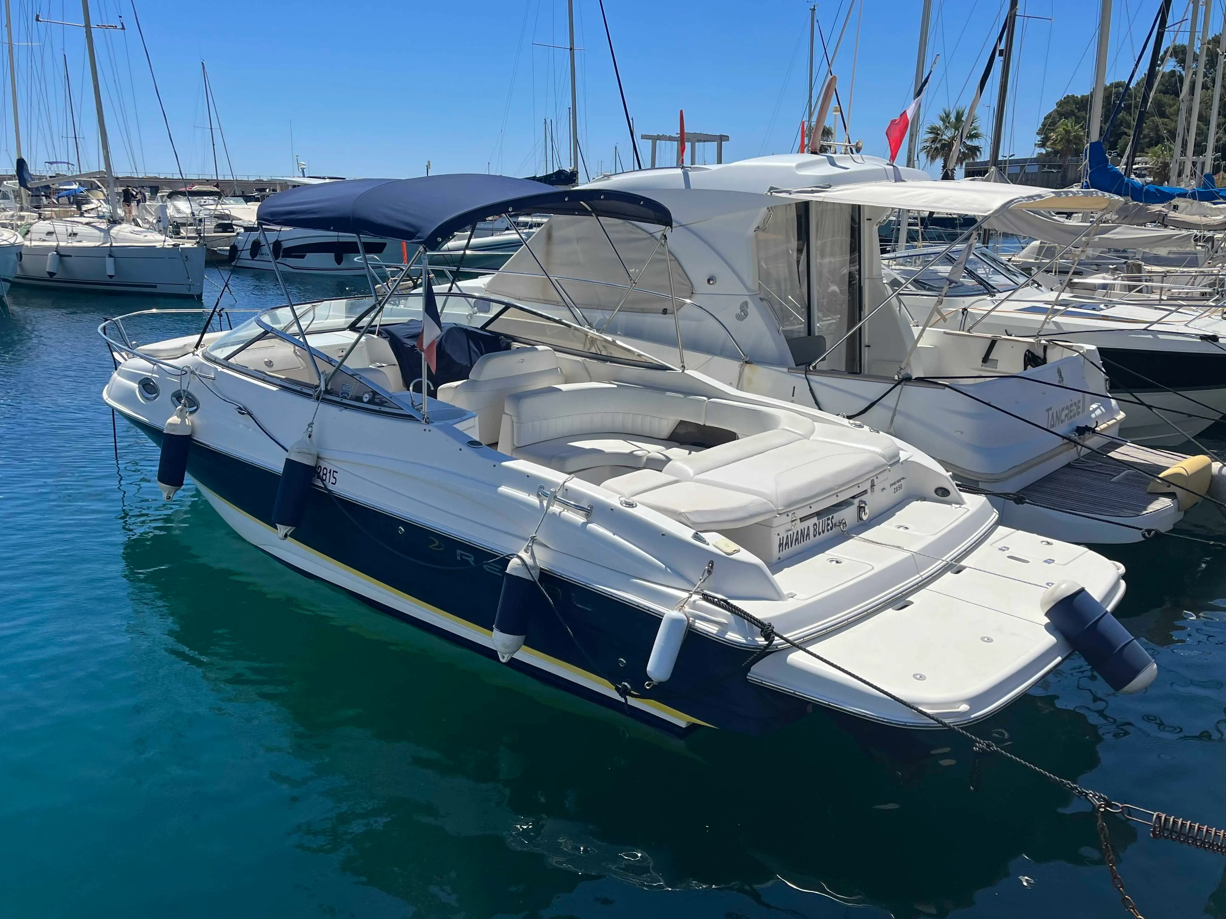 Regal 2650 — Bateau à moteur blanc et bleu amarré dans une marina, vu de trois quarts arrière.
