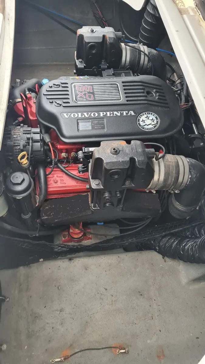 Glastron GT 225 — Vue rapprochée du compartiment moteur avec un moteur Volvo Penta.