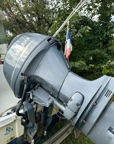 Quicksilver 530 — Vue rapprochée d’un moteur hors-bord installé à l’arrière d’un bateau.