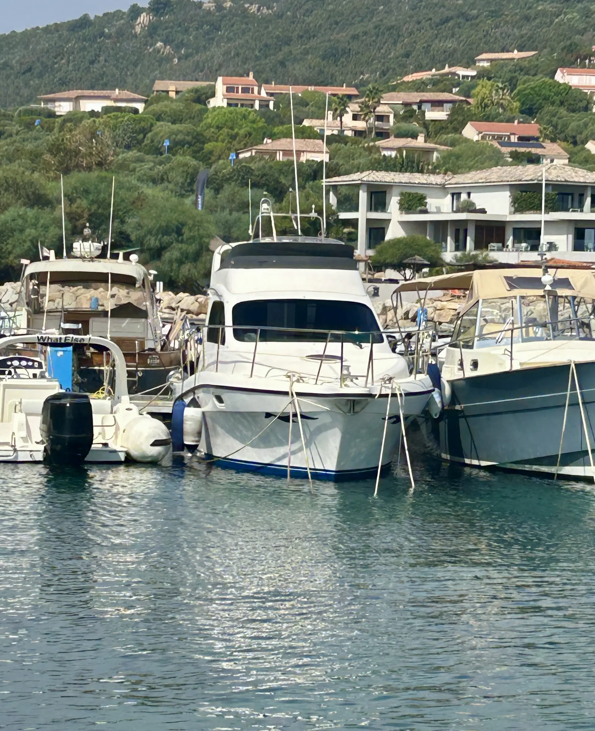 Intermare 30 Fly — Vedette blanche amarrée dans un port, vue de face entre d’autres bateaux.