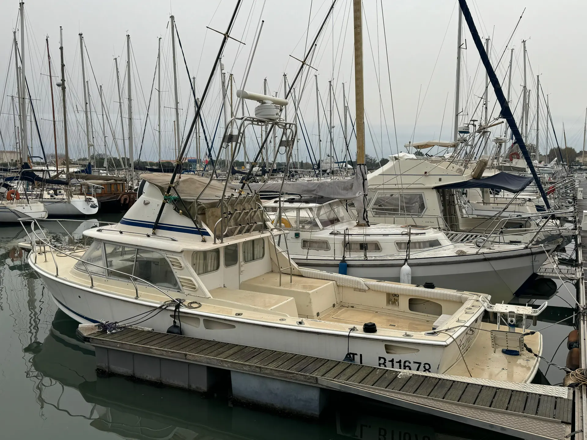 Bertram 31 — Bateau à moteur blanc amarré dans une marina, entouré d'autres embarcations.