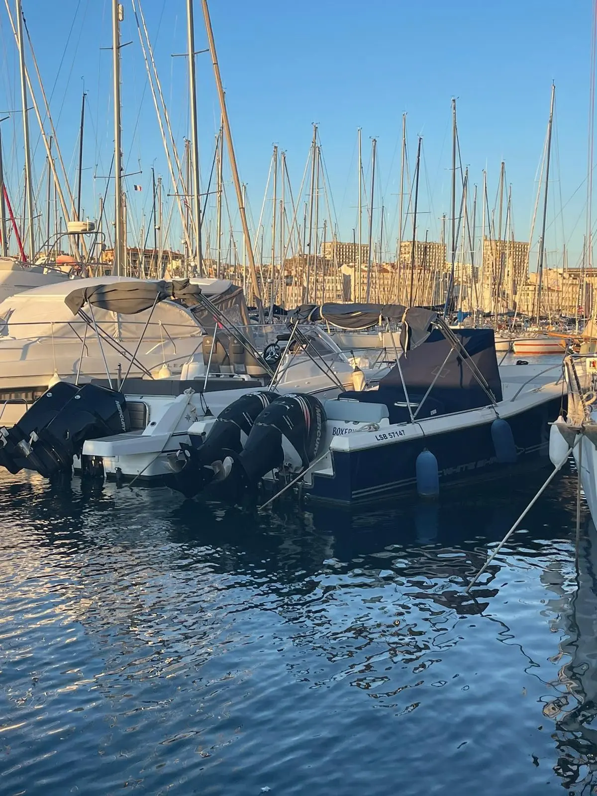 White Shark 285 — Bateaux à moteur amarrés dans un port, parmi de nombreux voiliers.