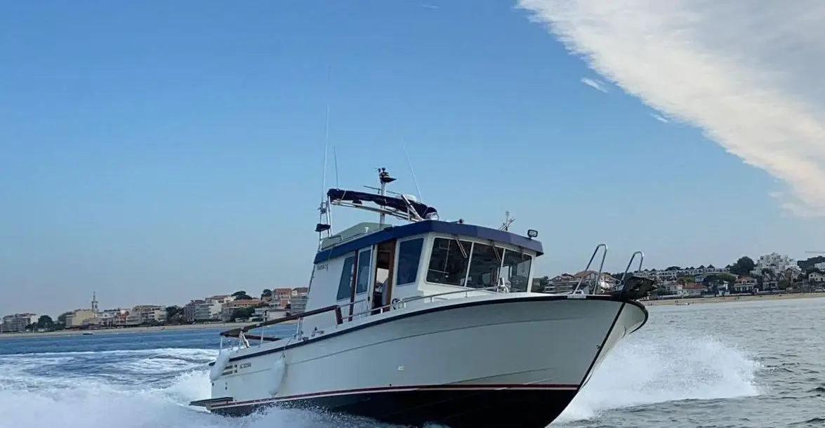 Botnia Marin Targa 31 — Bateau à moteur blanc vu de trois quarts avant, naviguant près du rivage.