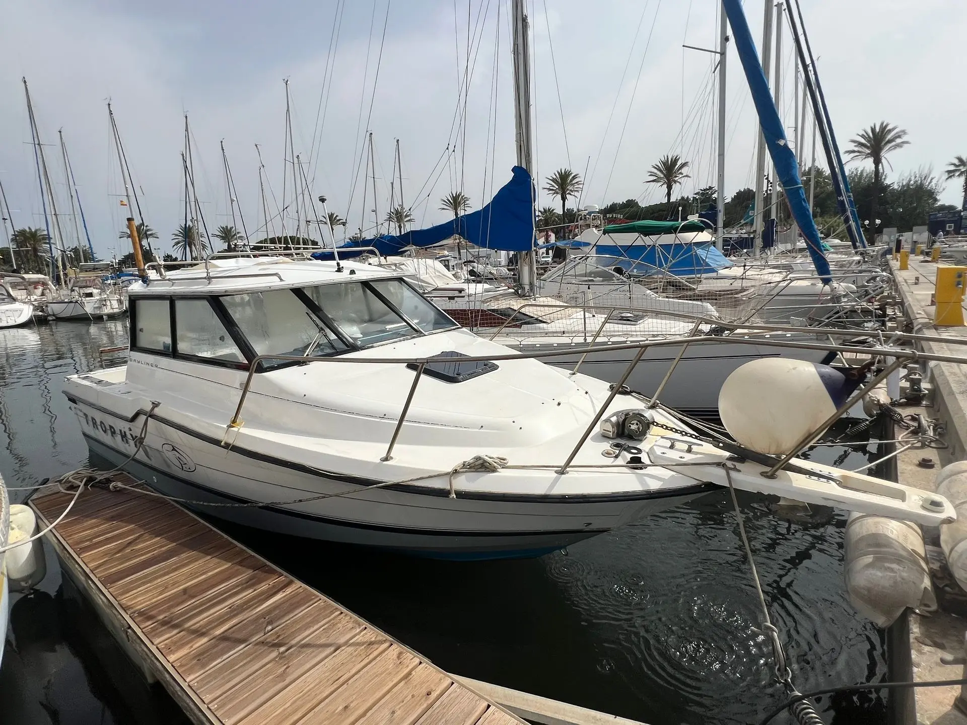 Bayliner Trophy 2359 — Bateau à moteur blanc amarré dans une marina, vu de trois quarts avant.