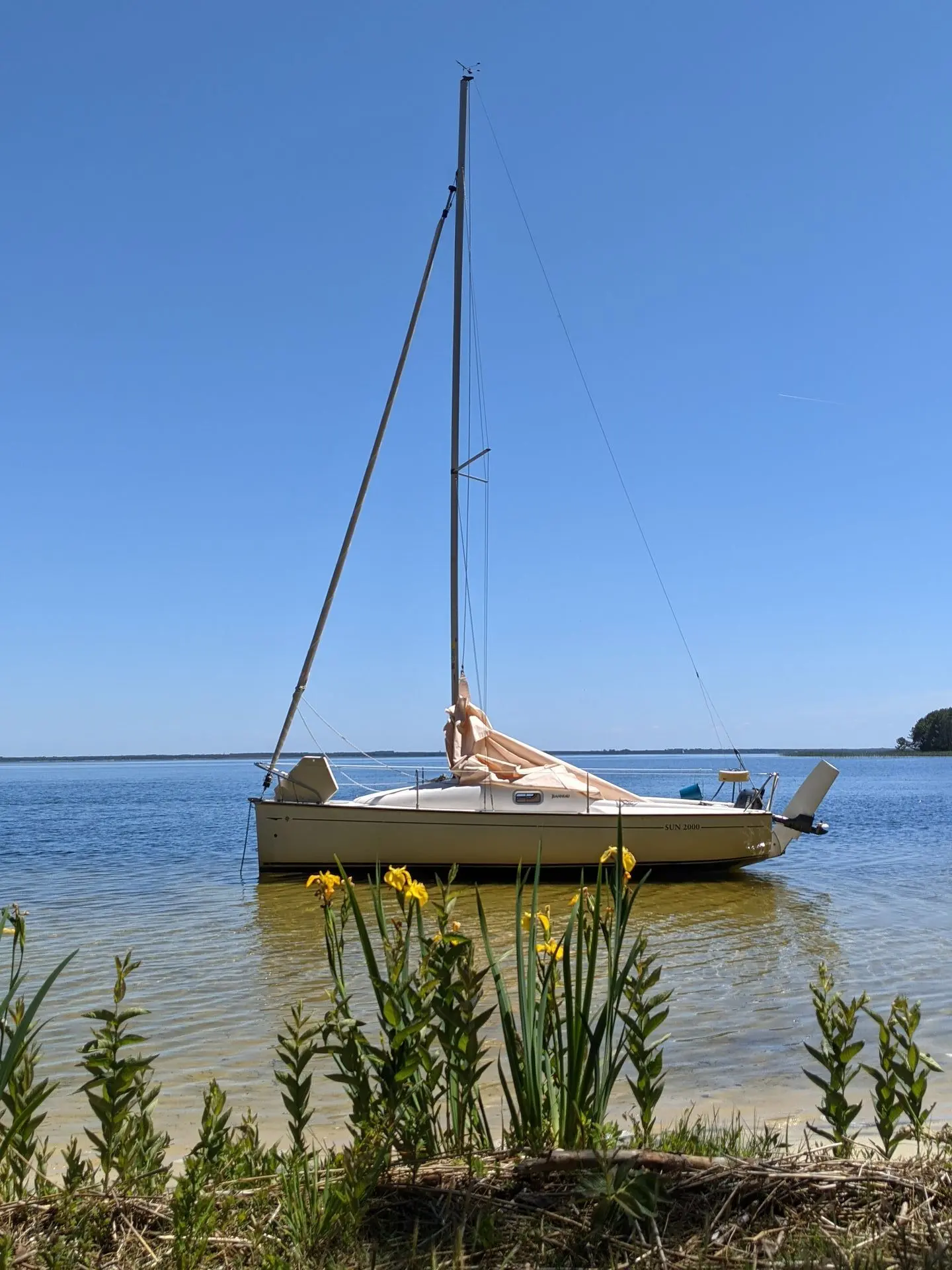 Jeanneau Sun 2000 — Voilier amarré près d’une rive, photographié de profil sur une eau calme.