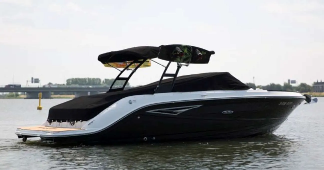 Sea Ray 250 SLXE — Bateau à moteur noir et blanc photographié de profil sur l’eau, sous un ciel couvert.