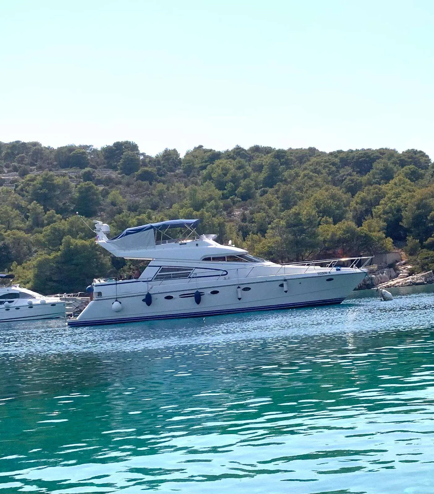 Johnson 56 — Vedette à moteur blanche photographiée de profil dans une baie arborée.