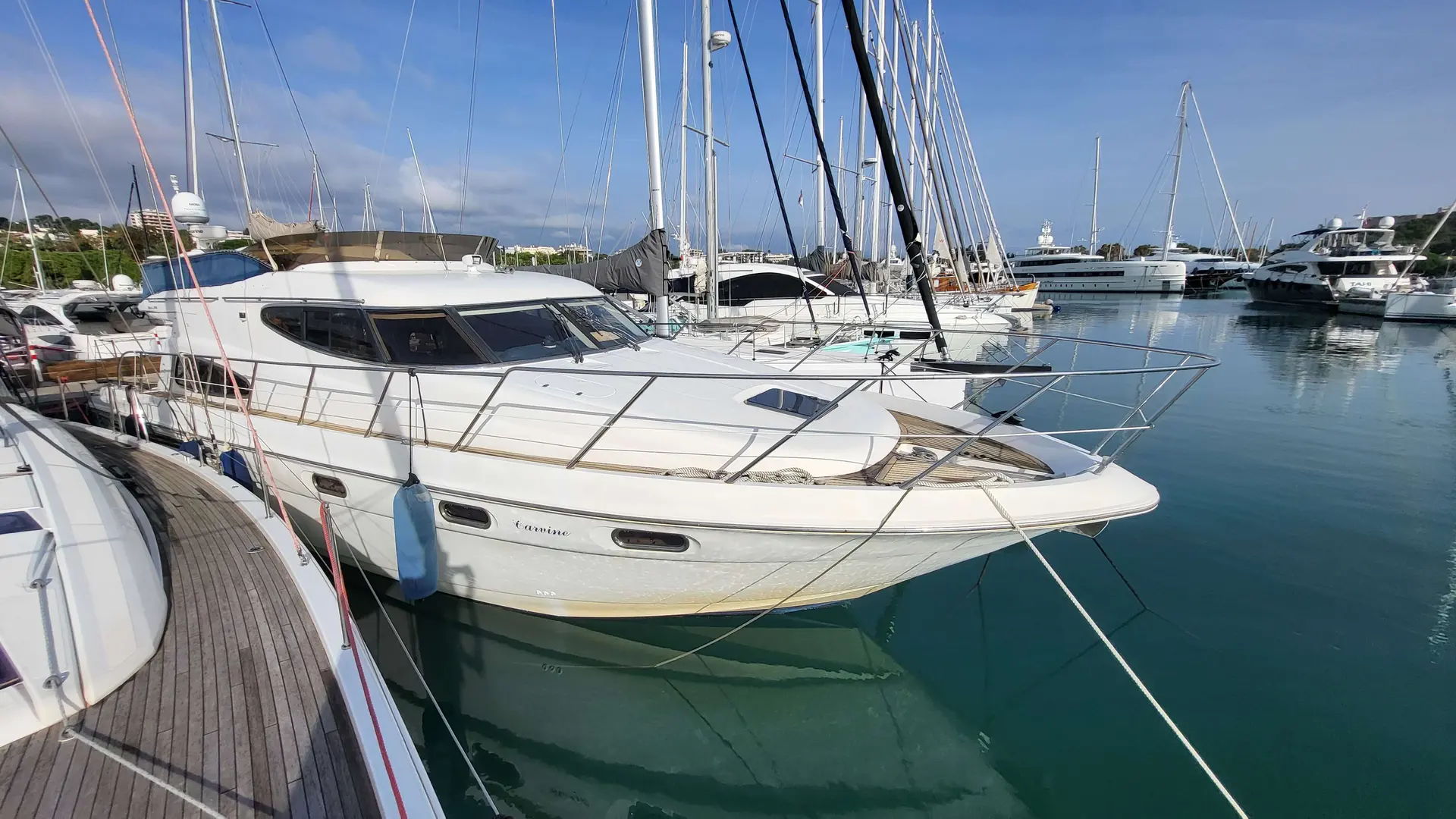 Sealine T 51 — Vedette blanche amarrée dans une marina, vue de trois quarts avant.