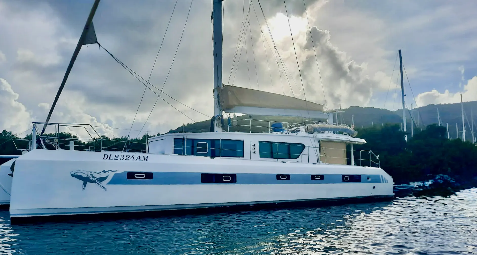 Squalt Marine International CK64 — Catamaran blanc à voile photographié de profil dans une baie.