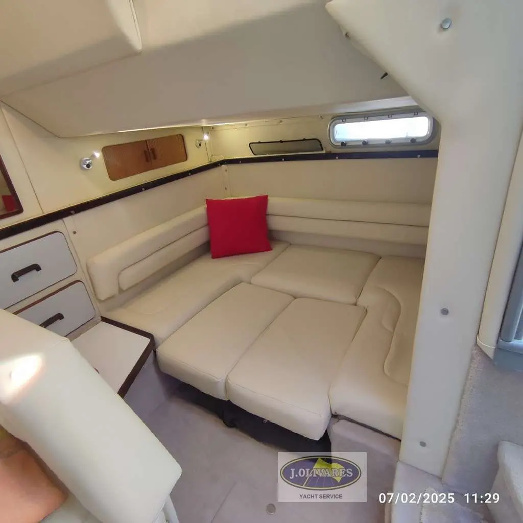 Sea Ray 310