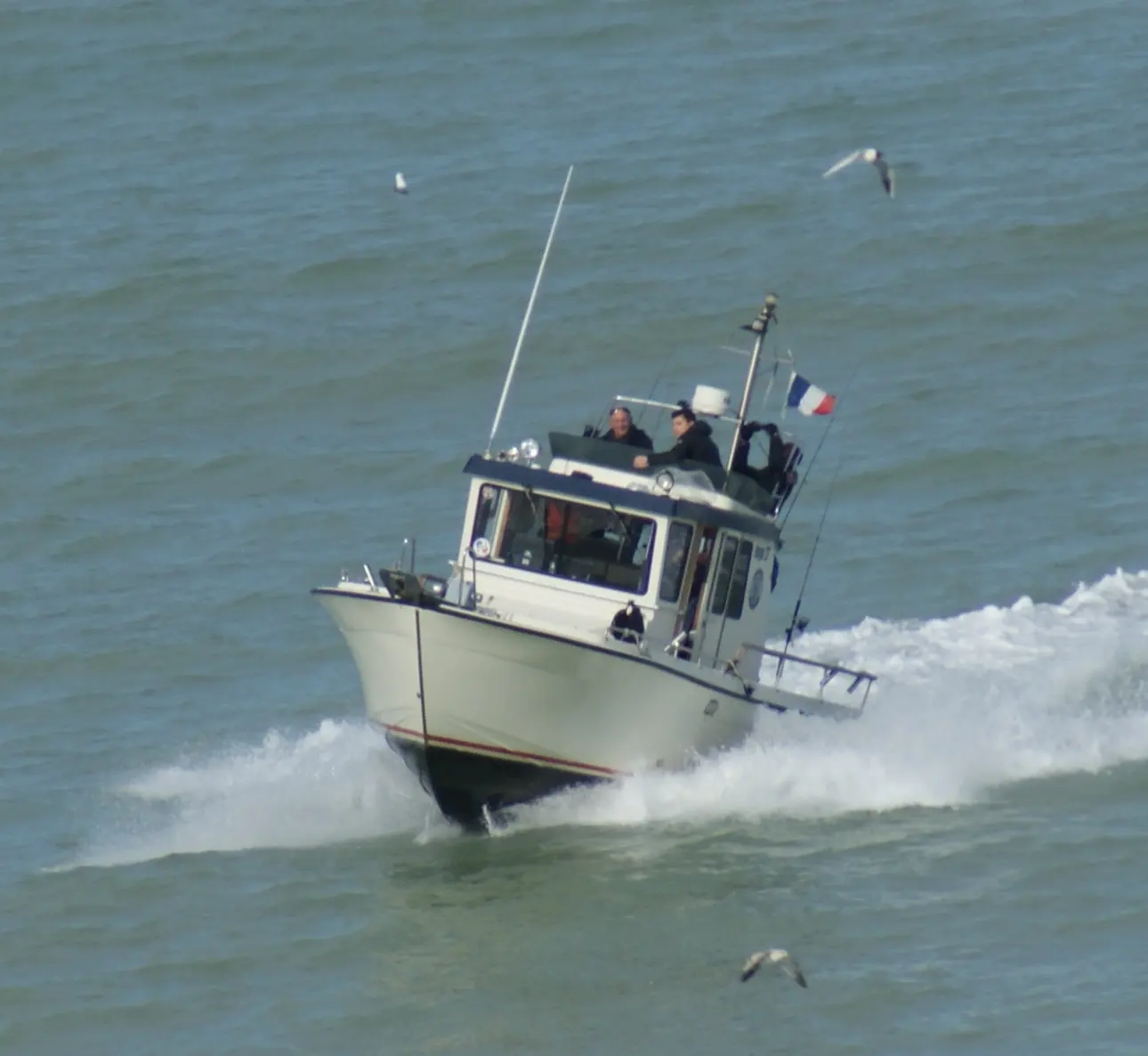 Botnia Marin Targa 27 — Bateau à cabine naviguant à pleine vitesse sur une mer agitée.