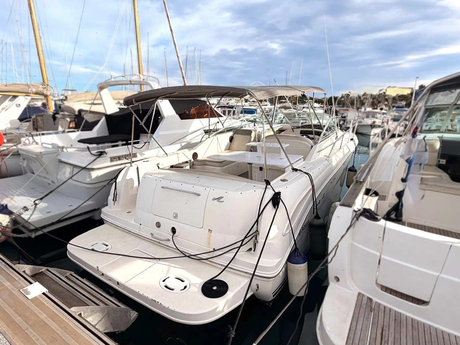 Sea Ray Amberjack 290 — Bateau blanc amarré, photographié de trois quarts arrière dans un port.