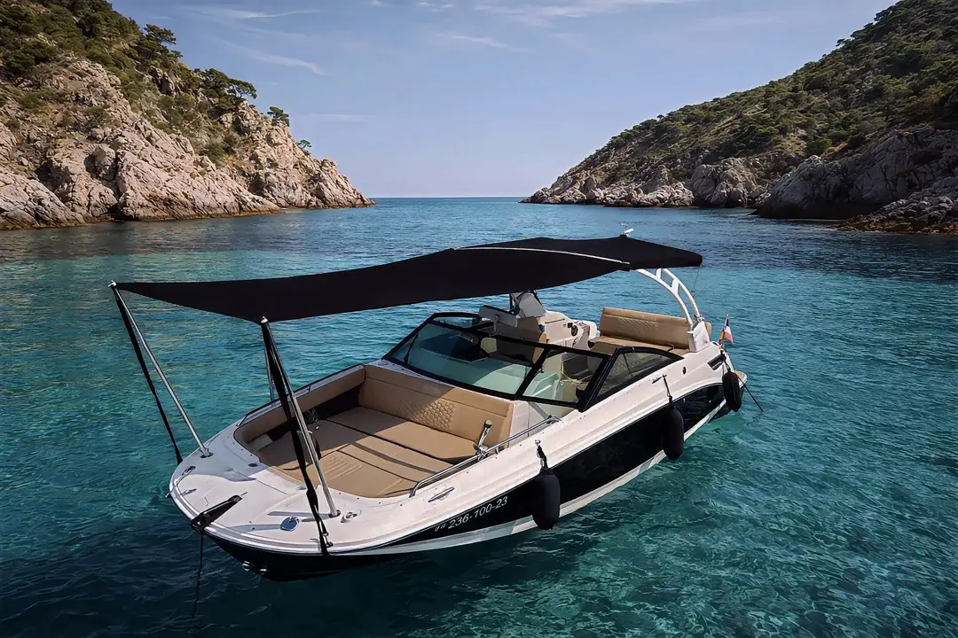 Sea Ray 250 SDX HB — Bateau à moteur blanc et noir au mouillage dans une crique aux eaux turquoise.