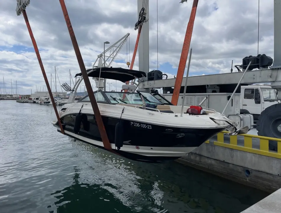 Sea Ray 250 SDX HB — Bateau à moteur blanc et noir suspendu au-dessus de l’eau dans un port.