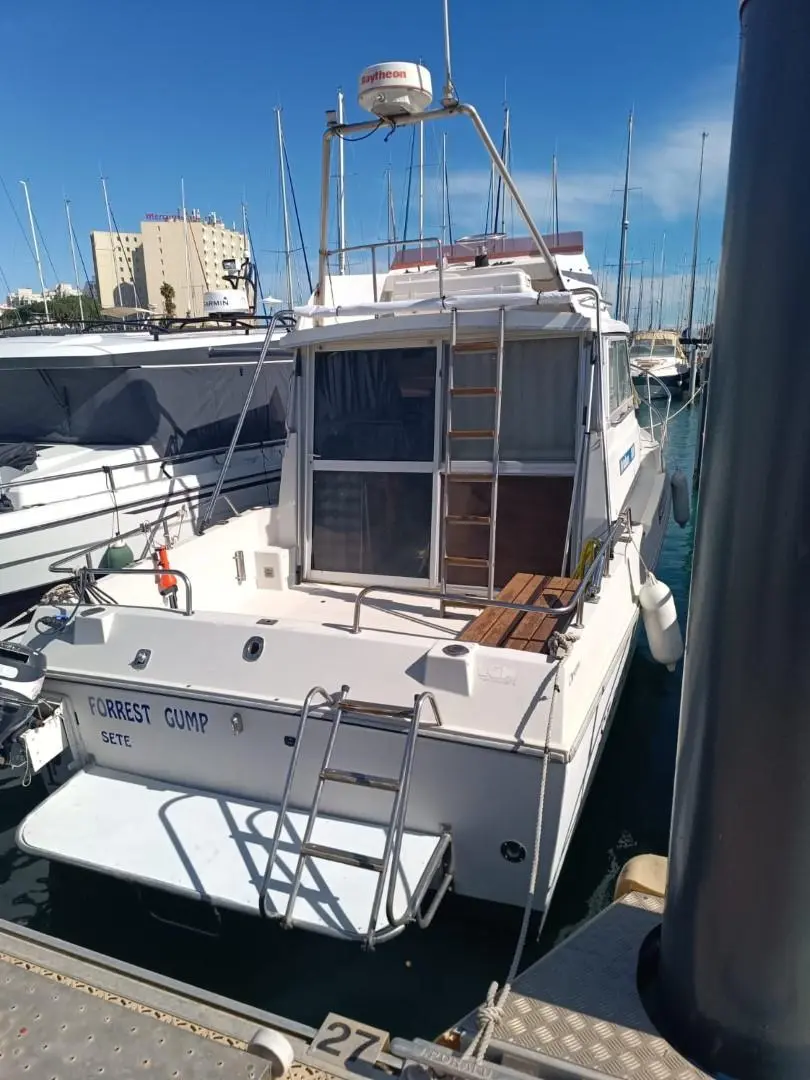Artaban 800 — Vue arrière d’un bateau à moteur amarré dans une marina, avec cockpit et passerelle.