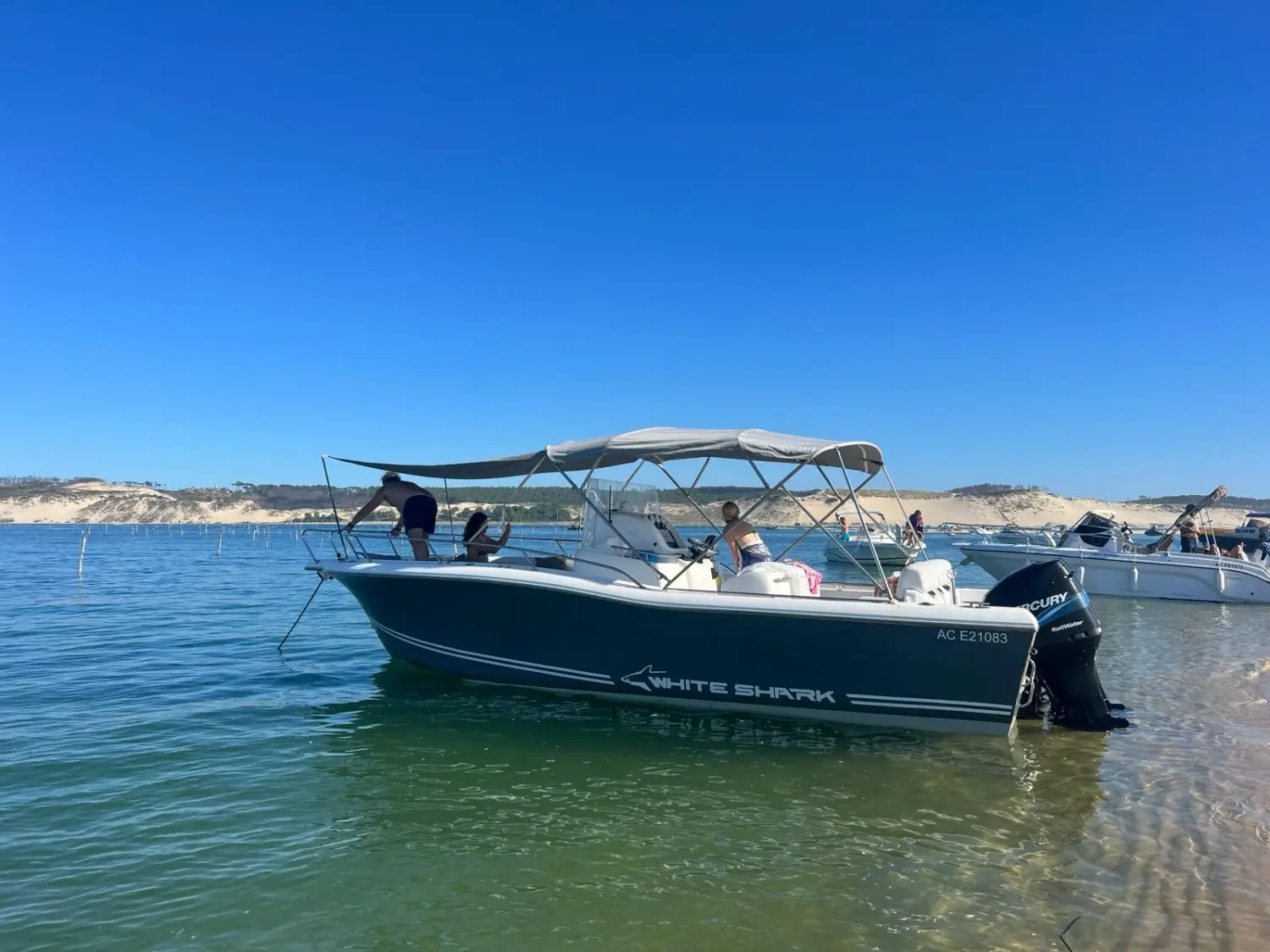 Kelt White Shark 265 — Bateau à moteur bleu et blanc amarré près d'une plage, avec taud relevé.