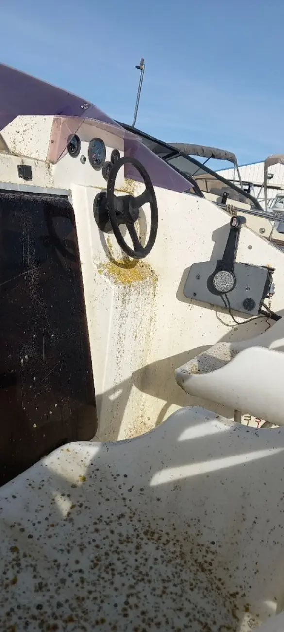 Jeanneau Skanes 510 — Poste de pilotage extérieur avec volant, instruments et commande moteur.