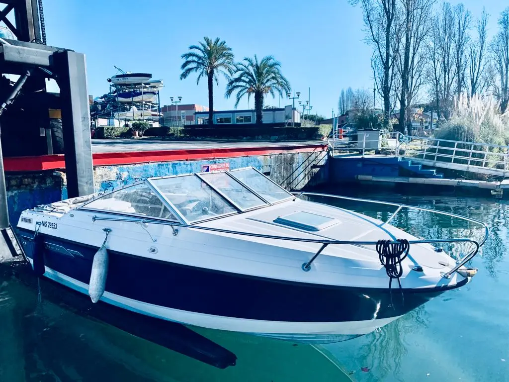 Bayliner 192 Discovery — Vedette blanche et bleue amarrée dans un bassin, vue de trois quarts avant.