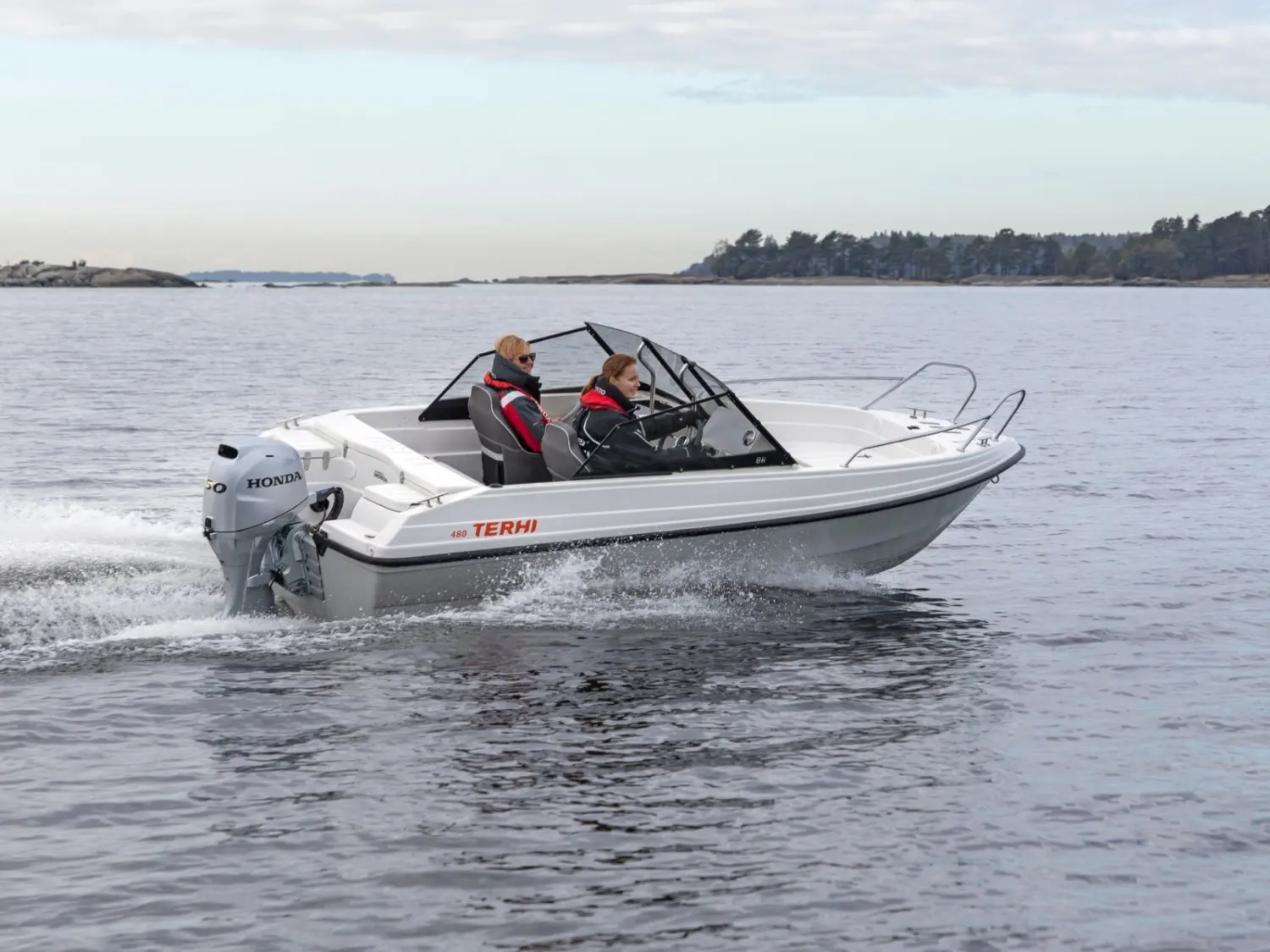 Terhi 480 — photo 6